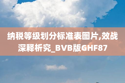 纳税等级划分标准表图片,效战深释析究_BVB版GHF87