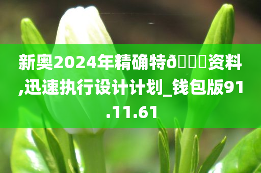 新奥2024年精确特🐎资料,迅速执行设计计划_钱包版91.11.61