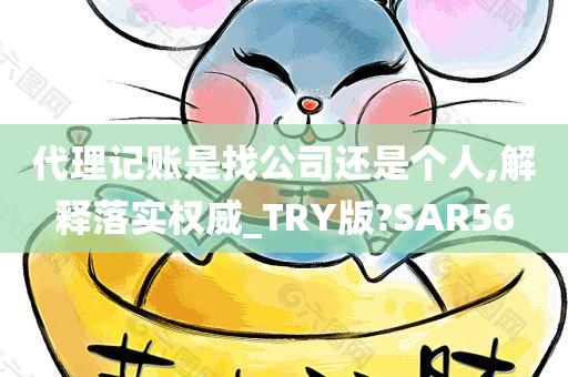 代理记账是找公司还是个人,解释落实权威_TRY版?SAR56