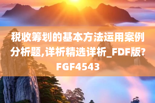 税收筹划的基本方法运用案例分析题,详析精选详析_FDF版?FGF4543