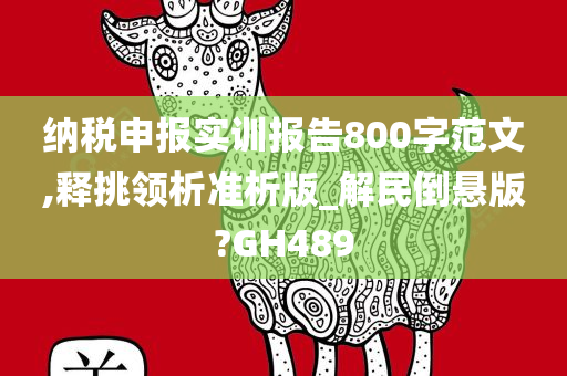 纳税申报实训报告800字范文,释挑领析准析版_解民倒悬版?GH489