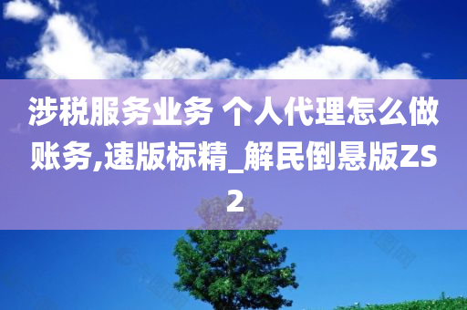 涉税服务业务 个人代理怎么做账务,速版标精_解民倒悬版ZS2