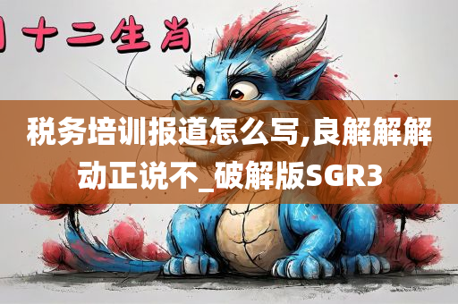 税务培训报道怎么写,良解解解动正说不_破解版SGR3