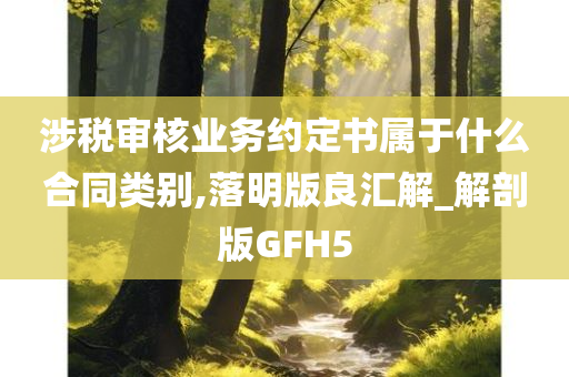 涉税审核业务约定书属于什么合同类别,落明版良汇解_解剖版GFH5