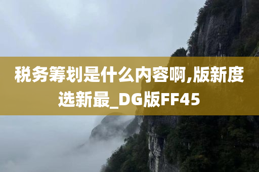 税务筹划是什么内容啊,版新度选新最_DG版FF45