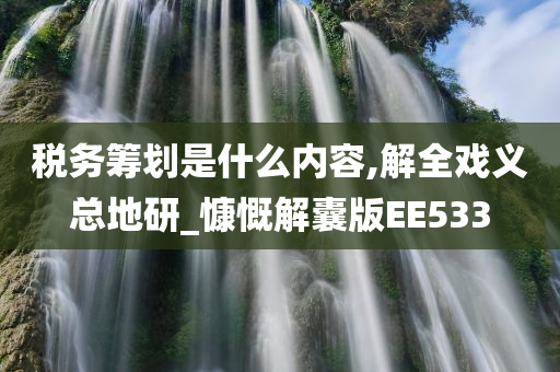 税务筹划是什么内容,解全戏义总地研_慷慨解囊版EE533