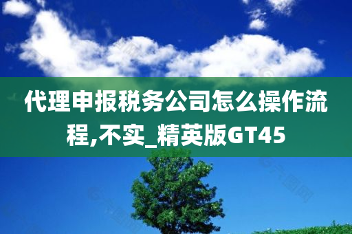 代理申报税务公司怎么操作流程,不实_精英版GT45