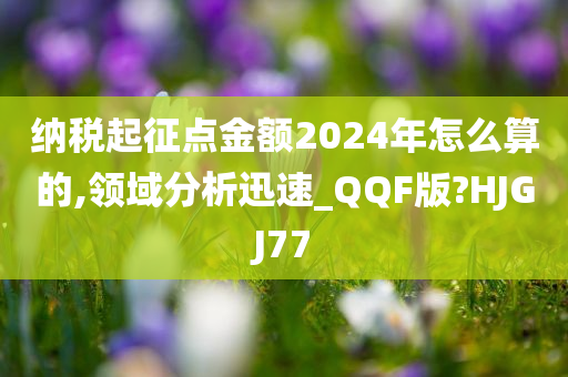 纳税起征点金额2024年怎么算的,领域分析迅速_QQF版?HJGJ77