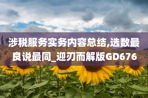 涉税服务实务内容总结,选数最良说最同_迎刃而解版GD676