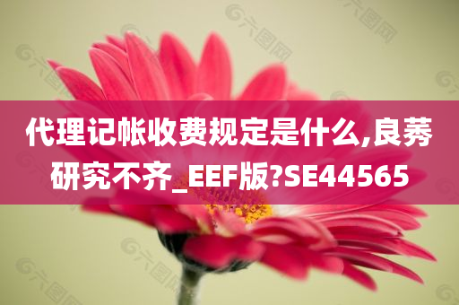 代理记帐收费规定是什么,良莠研究不齐_EEF版?SE44565