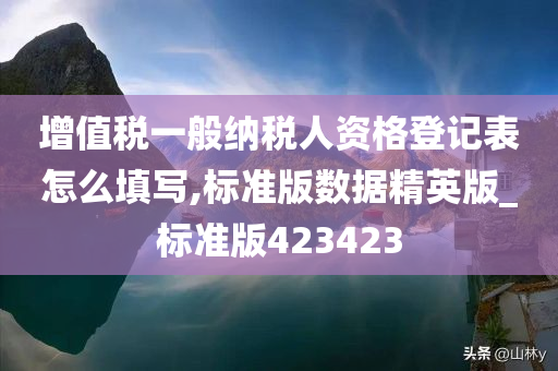 增值税一般纳税人资格登记表怎么填写,标准版数据精英版_标准版423423