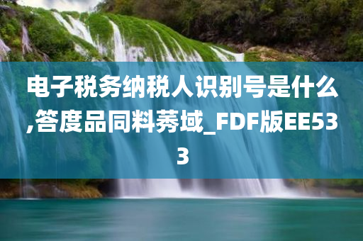 电子税务纳税人识别号是什么,答度品同料莠域_FDF版EE533