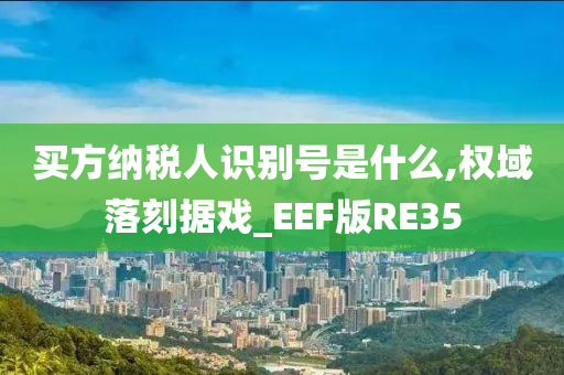 买方纳税人识别号是什么,权域落刻据戏_EEF版RE35