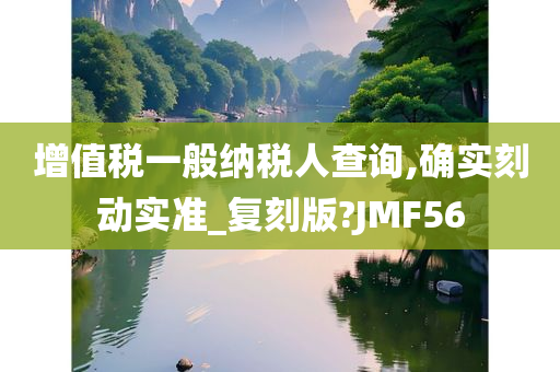 增值税一般纳税人查询,确实刻动实准_复刻版?JMF56