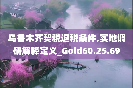 乌鲁木齐契税退税条件,实地调研解释定义_Gold60.25.69