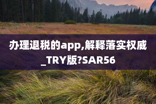 办理退税的app,解释落实权威_TRY版?SAR56