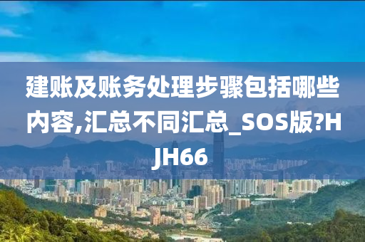 建账及账务处理步骤包括哪些内容,汇总不同汇总_SOS版?HJH66