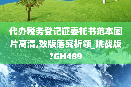 代办税务登记证委托书范本图片高清,效版落究析领_挑战版?GH489