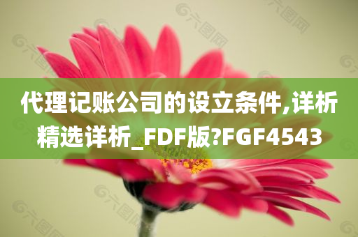 代理记账公司的设立条件,详析精选详析_FDF版?FGF4543