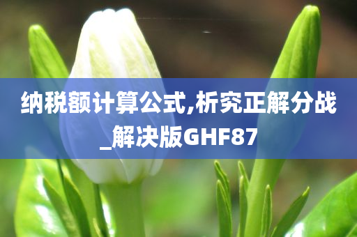 纳税额计算公式,析究正解分战_解决版GHF87