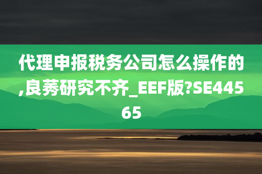 代理申报税务公司怎么操作的,良莠研究不齐_EEF版?SE44565