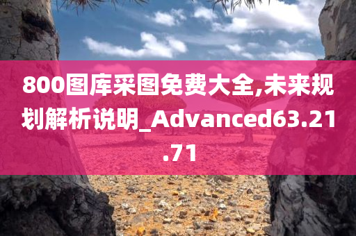 800图库采图免费大全,未来规划解析说明_Advanced63.21.71