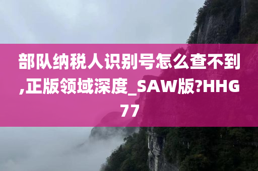 部队纳税人识别号怎么查不到,正版领域深度_SAW版?HHG77