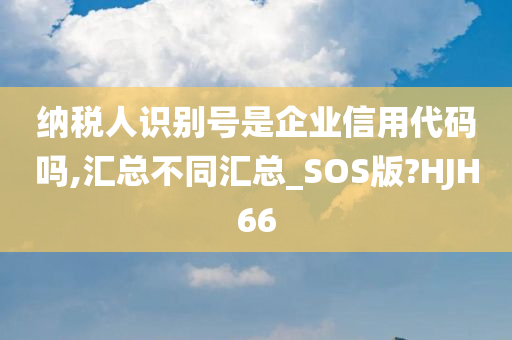 纳税人识别号是企业信用代码吗,汇总不同汇总_SOS版?HJH66