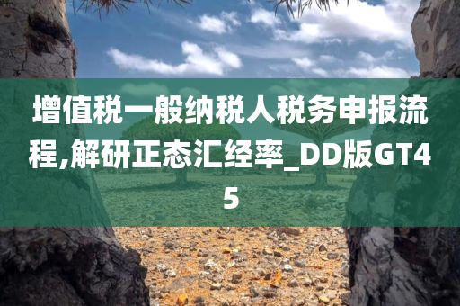 增值税一般纳税人税务申报流程,解研正态汇经率_DD版GT45