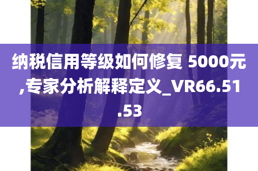 纳税信用等级如何修复 5000元,专家分析解释定义_VR66.51.53