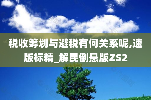 税收筹划与避税有何关系呢,速版标精_解民倒悬版ZS2