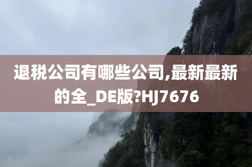 退税公司有哪些公司,最新最新的全_DE版?HJ7676