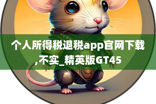 个人所得税退税app官网下载,不实_精英版GT45