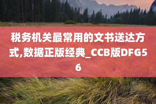 税务机关最常用的文书送达方式,数据正版经典_CCB版DFG56