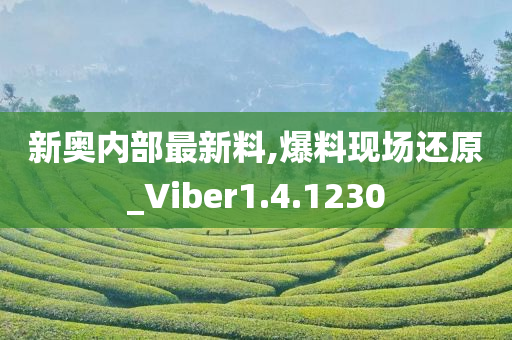 新奥内部最新料,爆料现场还原_Viber1.4.1230