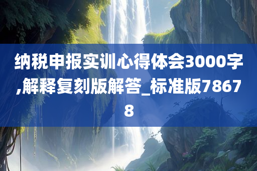 纳税申报实训心得体会3000字,解释复刻版解答_标准版78678