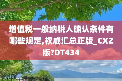 增值税一般纳税人确认条件有哪些规定,权威汇总正版_CXZ版?DT434