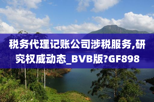 税务代理记账公司涉税服务,研究权威动态_BVB版?GF898