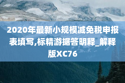 2020年最新小规模减免税申报表填写,标精游据答明释_解释版XC76