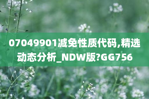 07049901减免性质代码,精选动态分析_NDW版?GG756