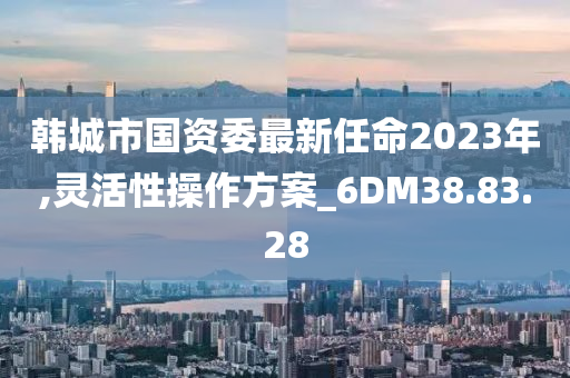 韩城市国资委最新任命2023年,灵活性操作方案_6DM38.83.28