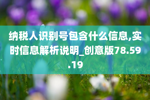 纳税人识别号包含什么信息,实时信息解析说明_创意版78.59.19