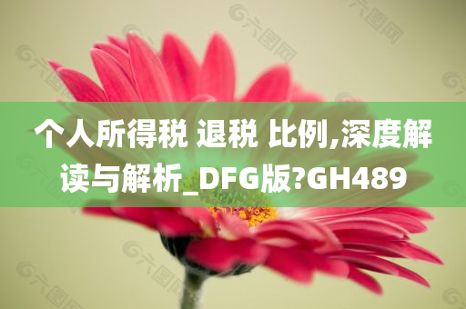 个人所得税 退税 比例,深度解读与解析_DFG版?GH489