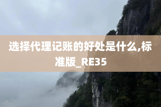 选择代理记账的好处是什么,标准版_RE35