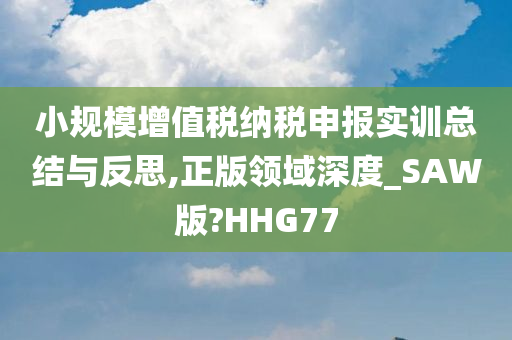 小规模增值税纳税申报实训总结与反思,正版领域深度_SAW版?HHG77