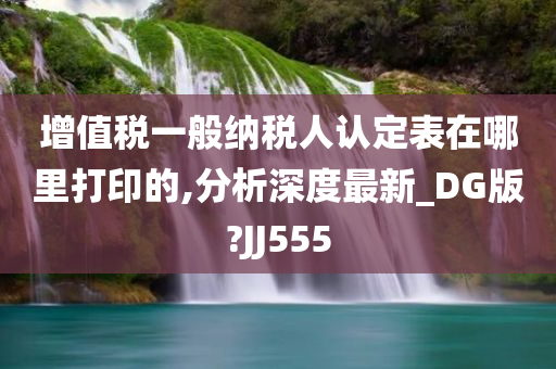 增值税一般纳税人认定表在哪里打印的,分析深度最新_DG版?JJ555