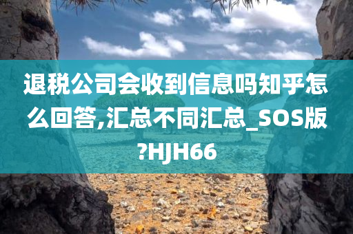 退税公司会收到信息吗知乎怎么回答,汇总不同汇总_SOS版?HJH66