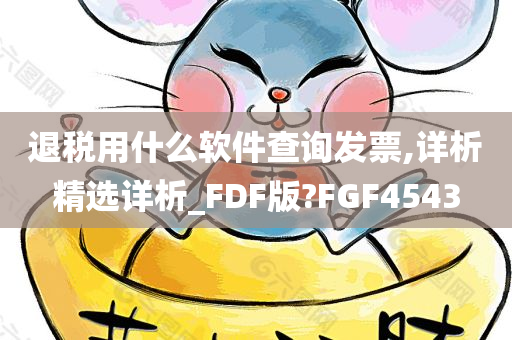 退税用什么软件查询发票,详析精选详析_FDF版?FGF4543