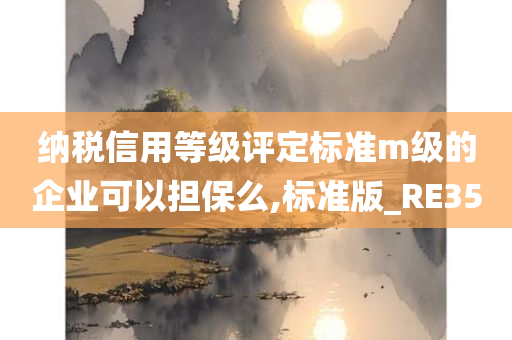 纳税信用等级评定标准m级的企业可以担保么,标准版_RE35