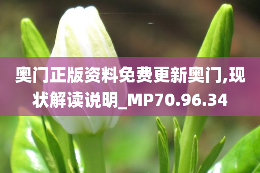 奥门正版资料免费更新奥门,现状解读说明_MP70.96.34